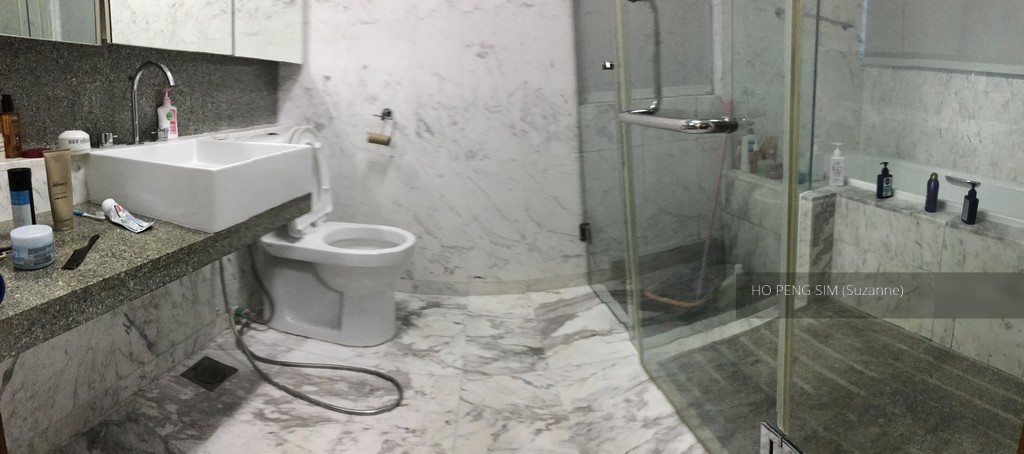 Pinnacle 16 (D12), Apartment #152994902